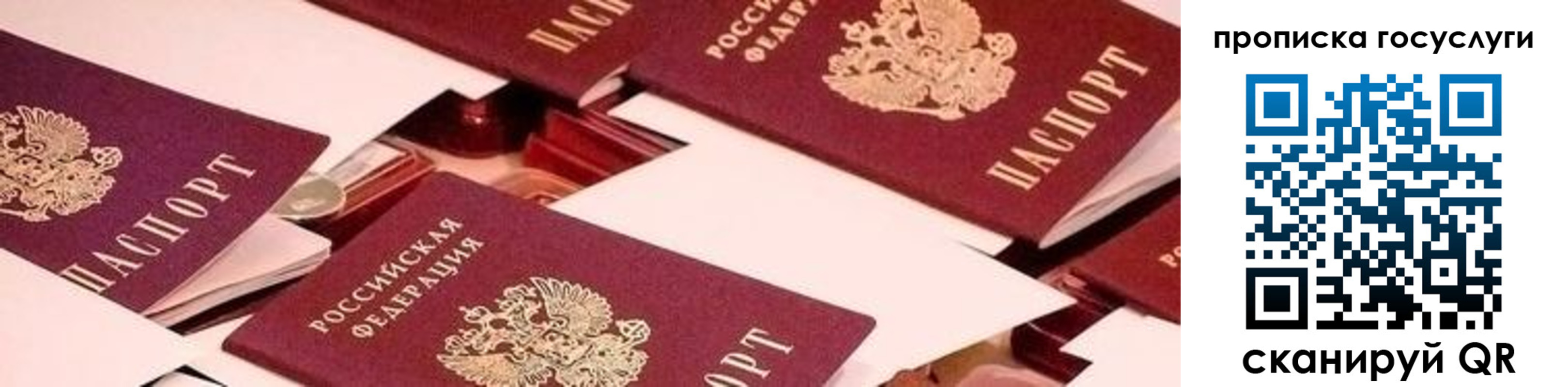 регистрация в Тамбовской области